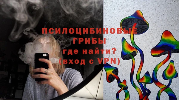 сатива Абинск