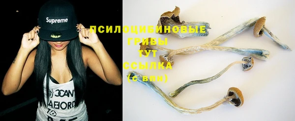 сатива Абинск