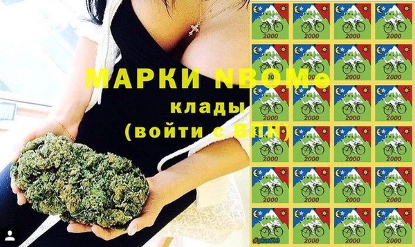 винт Абаза