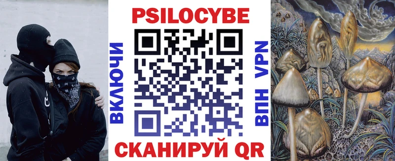 где найти наркотики  Салават  Псилоцибиновые грибы Cubensis 