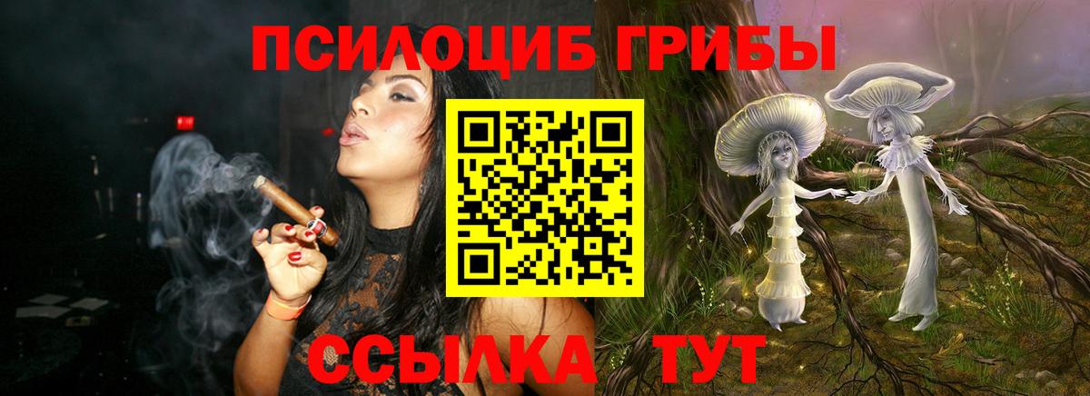 Галлюциногенные грибы мухоморы Салават