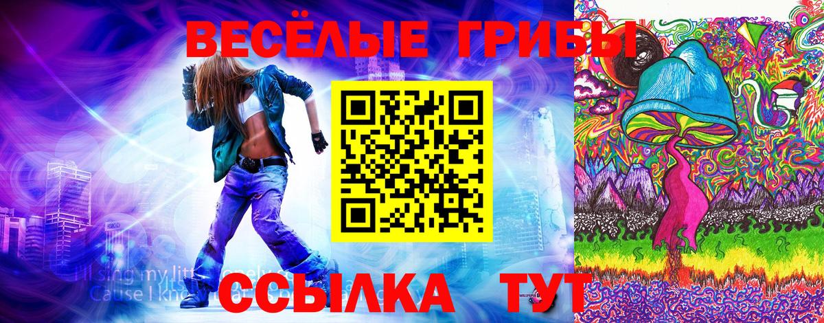 Салават  Псилоцибиновые грибы Psilocybe  Псилоцибиновые грибы MAGIC MUSHROOMS  Вход с VPN 